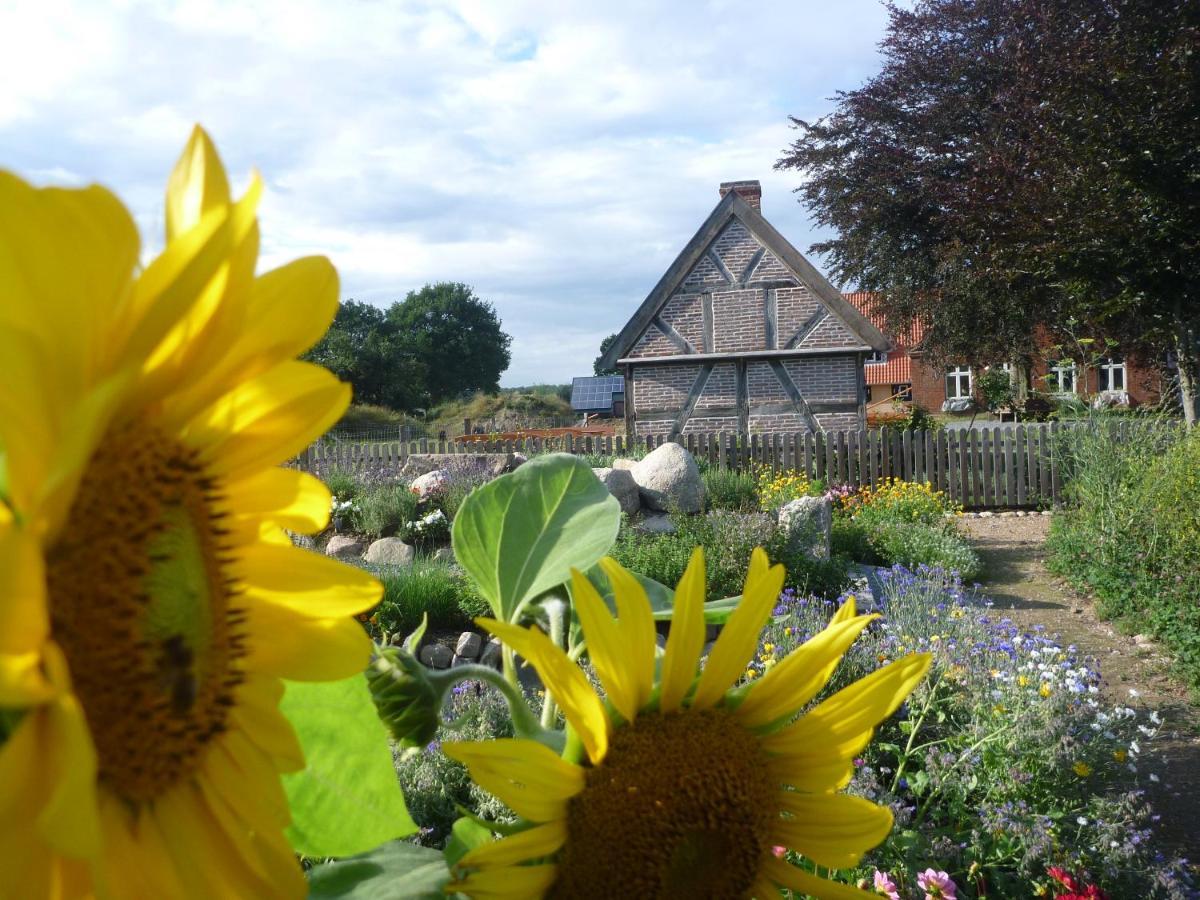 Hof Viehbrook Guest House Hollenbek ภายนอก รูปภาพ